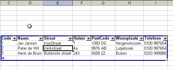 schermafdruk van het bestand ExcelXML.xls